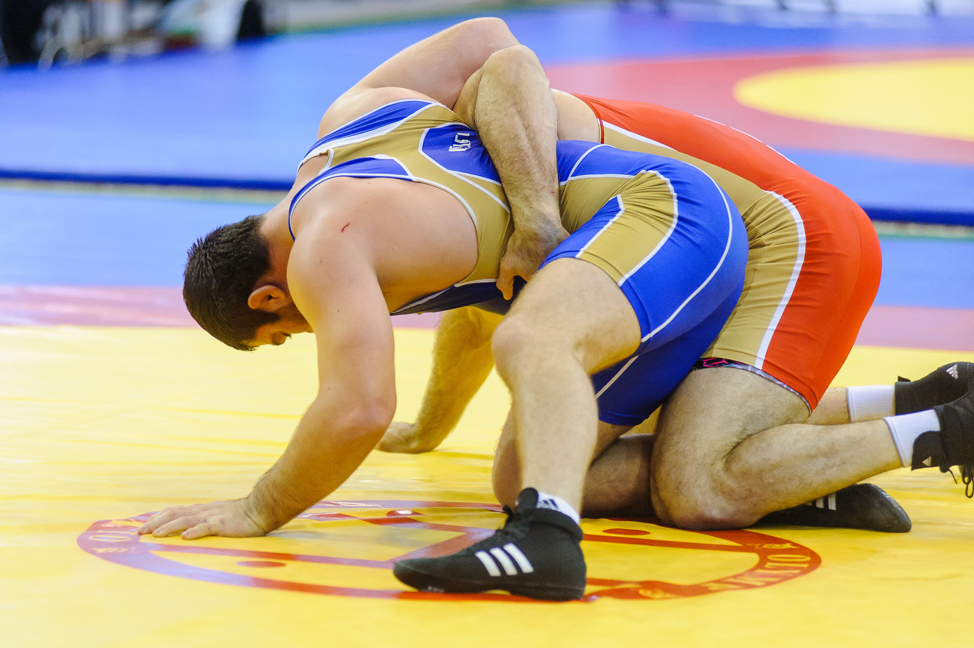 Батаев борьба Вольная